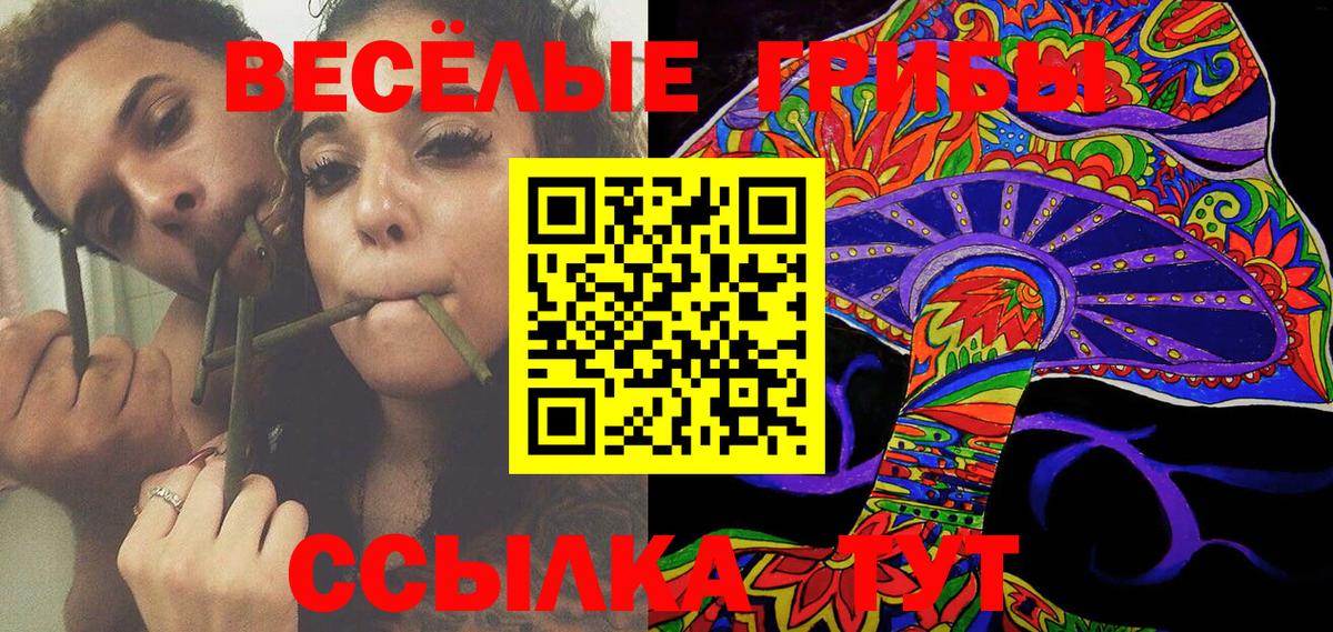 Сертолово  Галлюциногенные грибы Psilocybe  Вход с VPN  Псилоцибиновые грибы Cubensis 