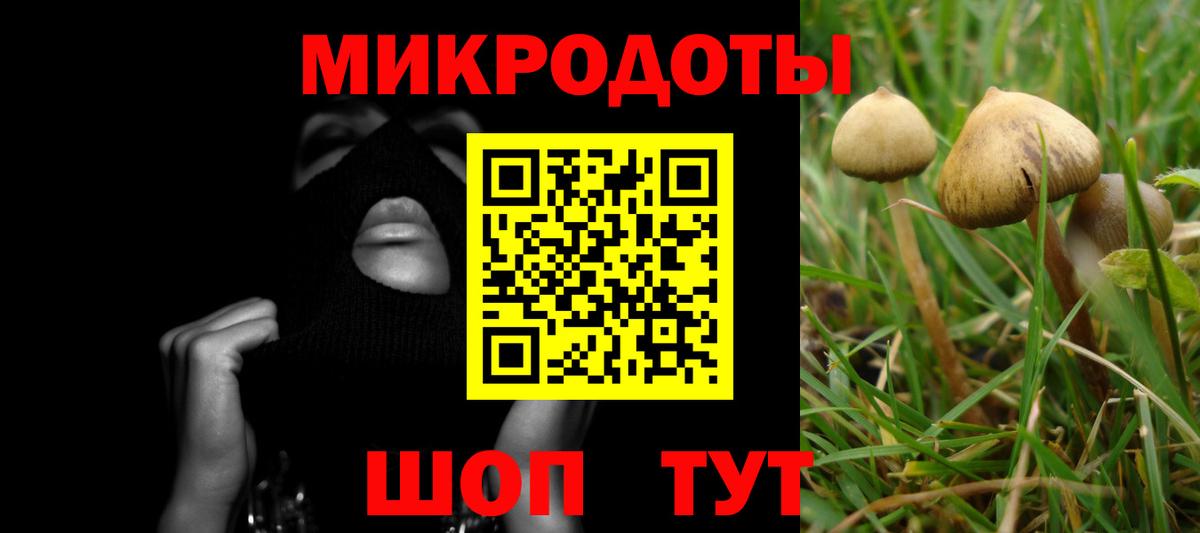 Псилоцибиновые грибы мицелий Сертолово